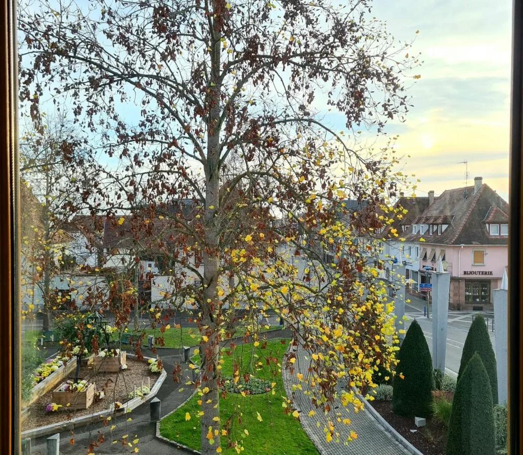 Auberge Syra/ Proche Europa Park Marckolsheim Kültér fotó